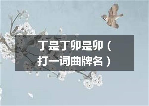 丁是丁卯是卯（打一词曲牌名）
