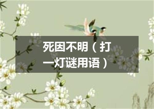 死因不明（打一灯谜用语）