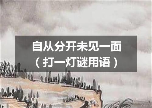 自从分开未见一面（打一灯谜用语）