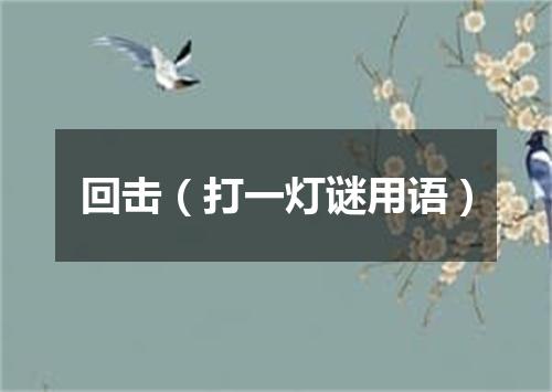 回击（打一灯谜用语）