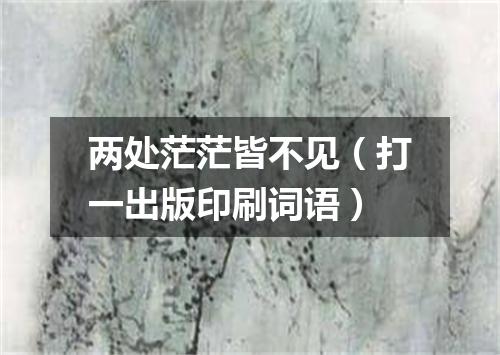 两处茫茫皆不见（打一出版印刷词语）