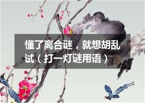 懂了离合谜，就想胡乱试（打一灯谜用语）