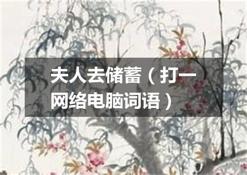 夫人去储蓄（打一网络电脑词语）
