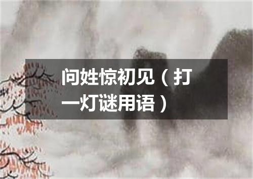 问姓惊初见（打一灯谜用语）
