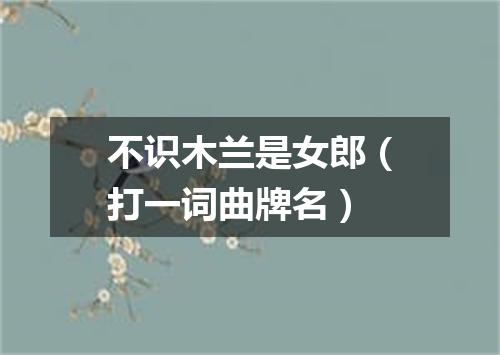 不识木兰是女郎（打一词曲牌名）
