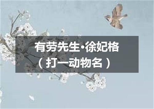 有劳先生·徐妃格（打一动物名）