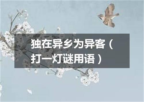 独在异乡为异客（打一灯谜用语）