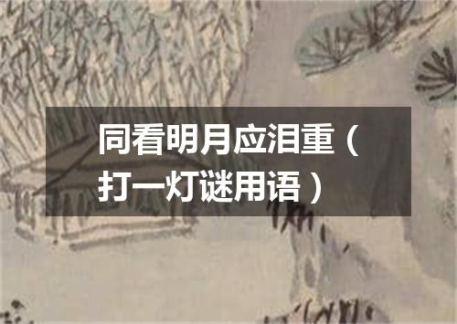 同看明月应泪重（打一灯谜用语）