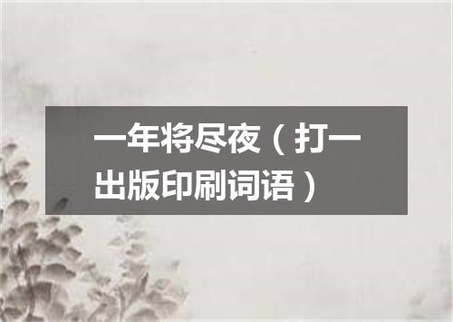 一年将尽夜（打一出版印刷词语）