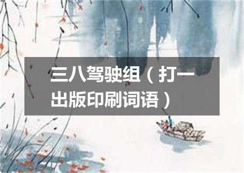 三八驾驶组（打一出版印刷词语）