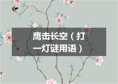 鹰击长空（打一灯谜用语）