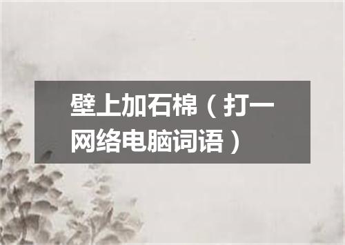 壁上加石棉（打一网络电脑词语）