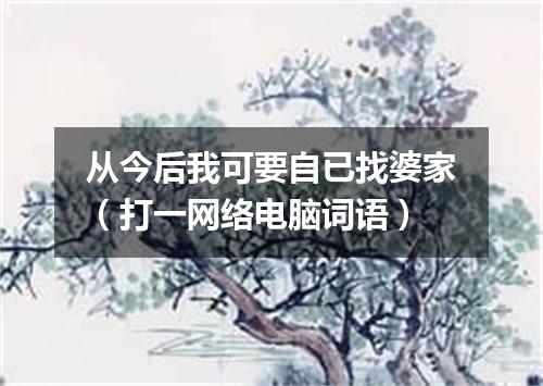 从今后我可要自已找婆家（打一网络电脑词语）