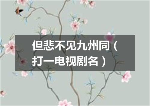 但悲不见九州同（打一电视剧名）