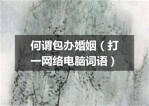 何谓包办婚姻（打一网络电脑词语）