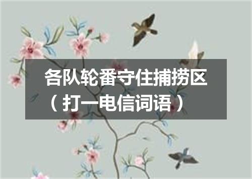 各队轮番守住捕捞区（打一电信词语）