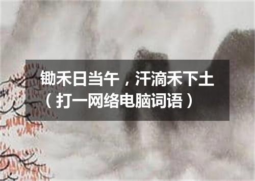 锄禾日当午，汗滴禾下土（打一网络电脑词语）