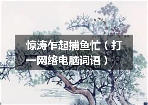 惊涛乍起捕鱼忙（打一网络电脑词语）