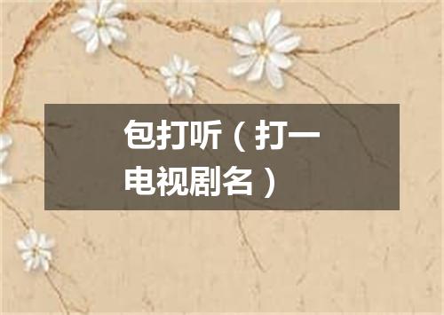 包打听（打一电视剧名）