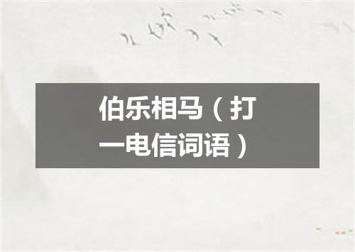 伯乐相马（打一电信词语）