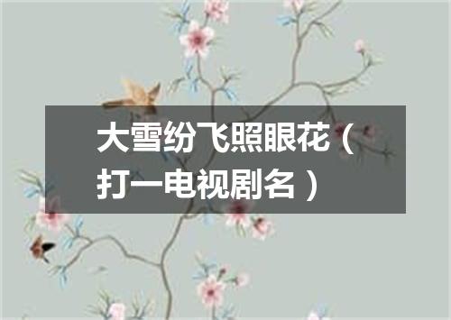 大雪纷飞照眼花（打一电视剧名）