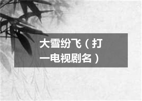 大雪纷飞（打一电视剧名）