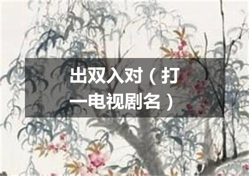 出双入对（打一电视剧名）