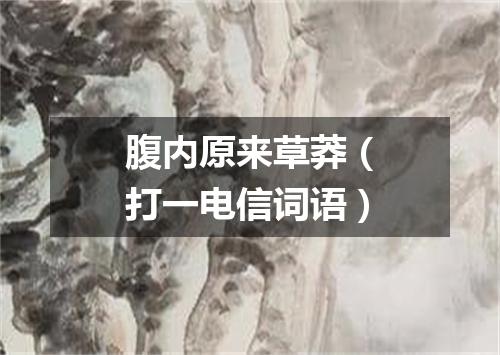 腹内原来草莽（打一电信词语）