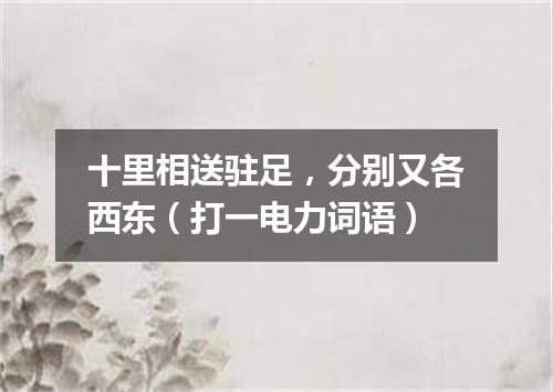 十里相送驻足，分别又各西东（打一电力词语）