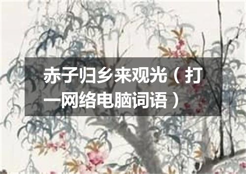 赤子归乡来观光（打一网络电脑词语）