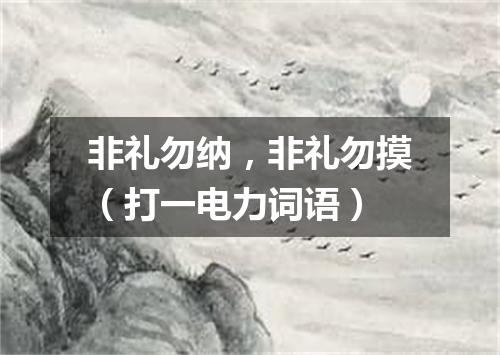 非礼勿纳，非礼勿摸（打一电力词语）