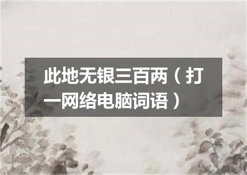 此地无银三百两（打一网络电脑词语）