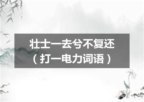 壮士一去兮不复还（打一电力词语）