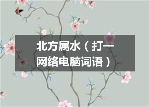 北方属水（打一网络电脑词语）