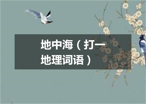 地中海（打一地理词语）