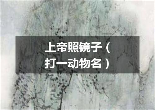 上帝照镜子（打一动物名）