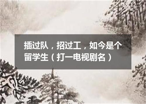 插过队，招过工，如今是个留学生（打一电视剧名）