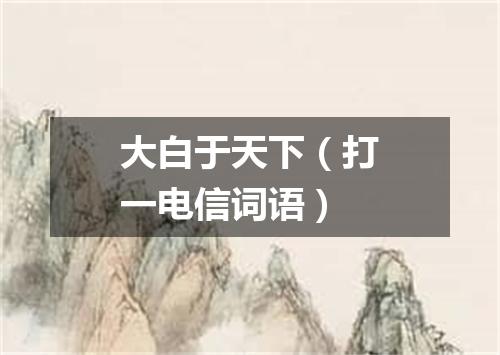 大白于天下（打一电信词语）