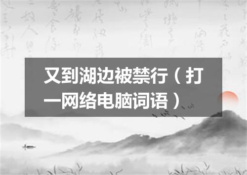 又到湖边被禁行（打一网络电脑词语）