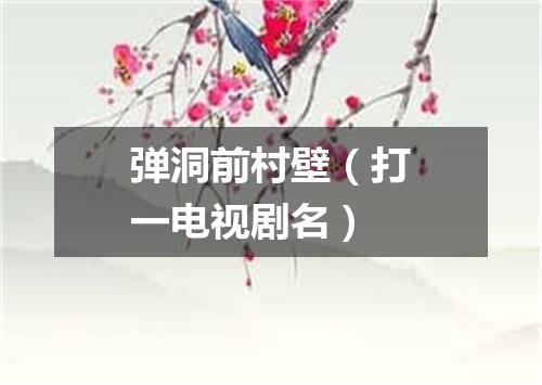 弹洞前村壁（打一电视剧名）