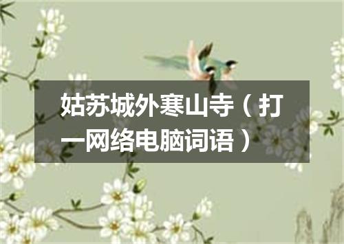 姑苏城外寒山寺（打一网络电脑词语）