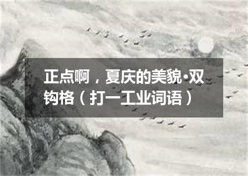 正点啊，夏庆的美貌·双钩格（打一工业词语）