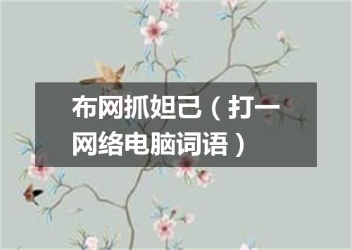 布网抓妲己（打一网络电脑词语）