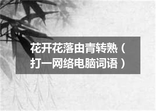 花开花落由青转熟（打一网络电脑词语）