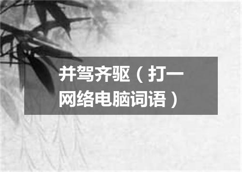 并驾齐驱（打一网络电脑词语）
