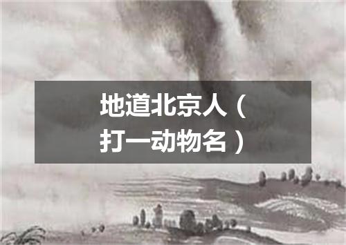 地道北京人（打一动物名）