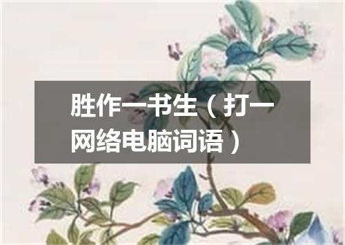 胜作一书生（打一网络电脑词语）
