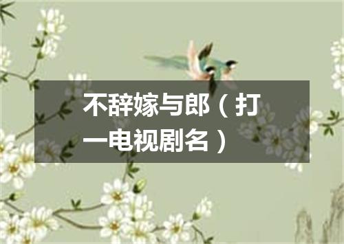 不辞嫁与郎（打一电视剧名）