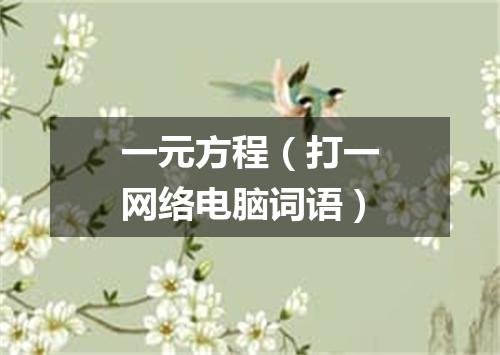 一元方程（打一网络电脑词语）