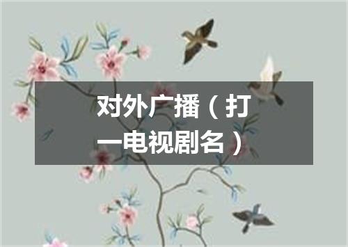 对外广播（打一电视剧名）
